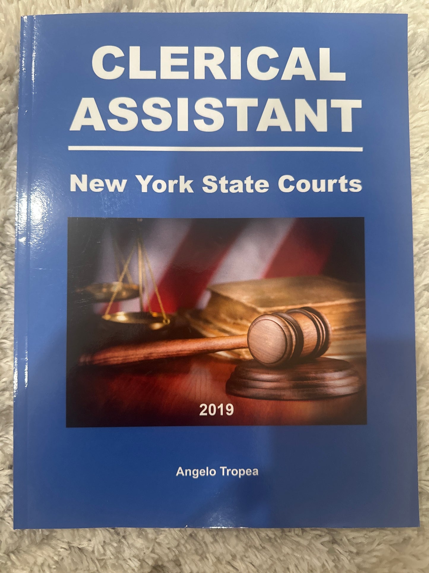 Clerical Assistant NYS Courts